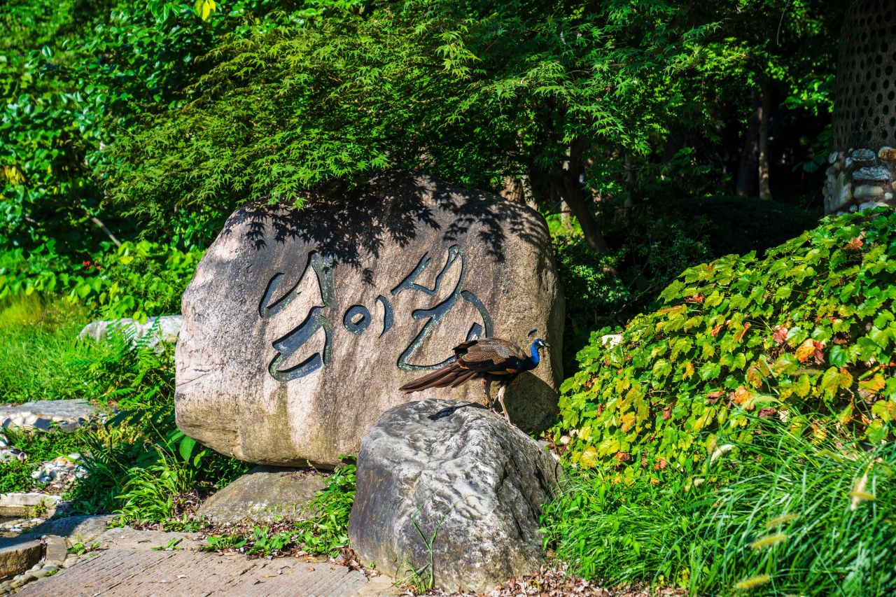 남이섬