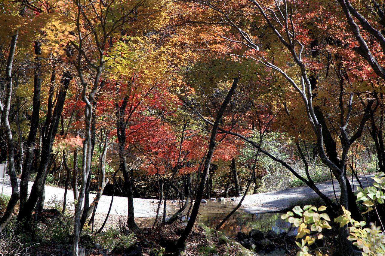 사명산 MTB여행길