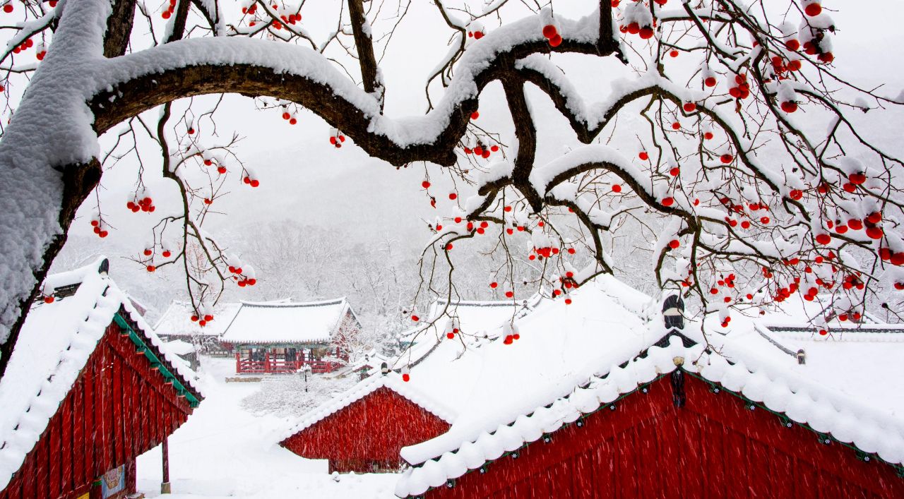 산사의 겨울풍경