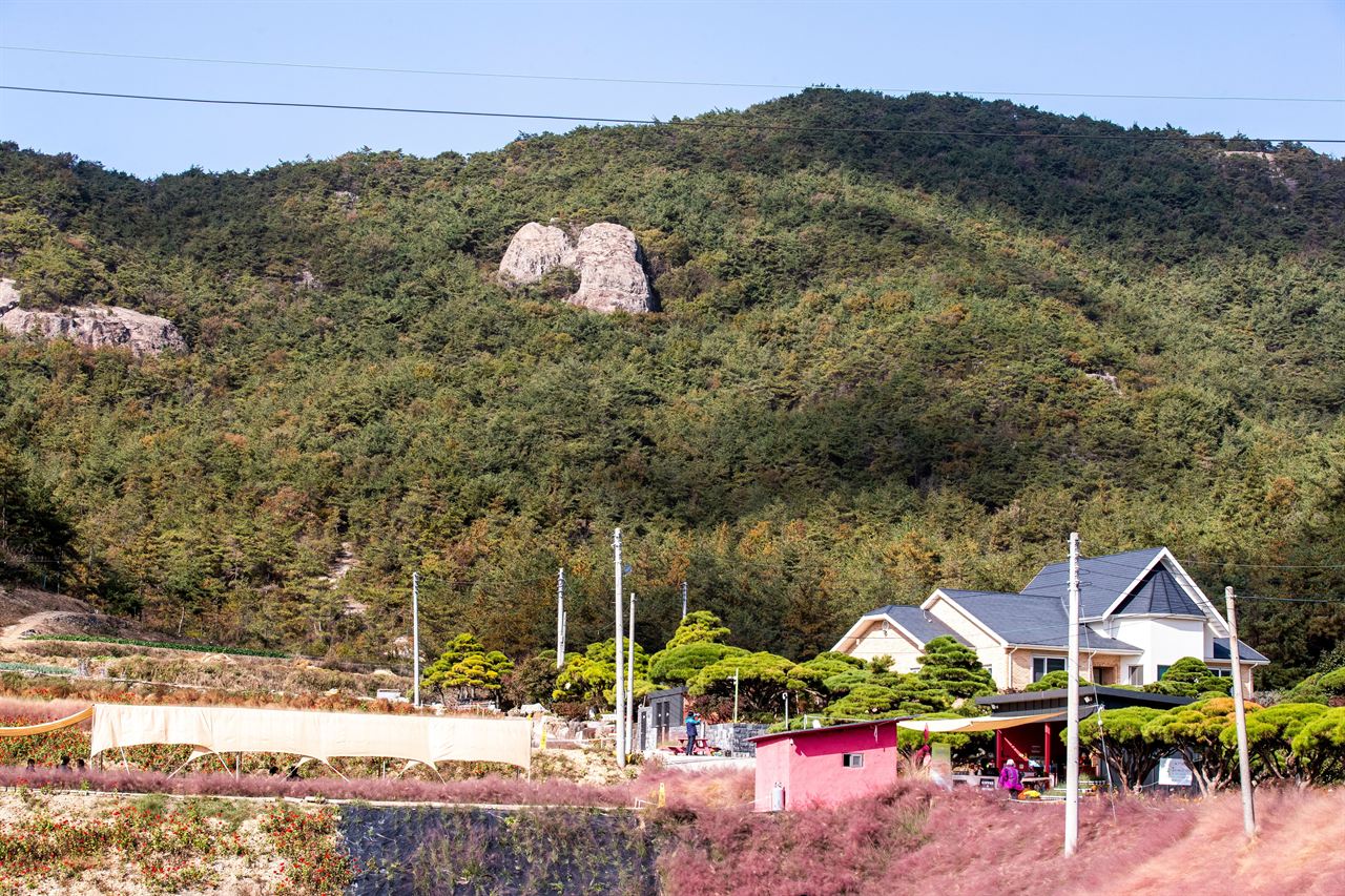 꽃객프로젝트