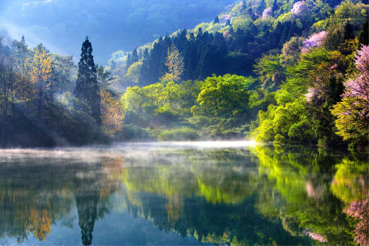세량지의 봄 풍경