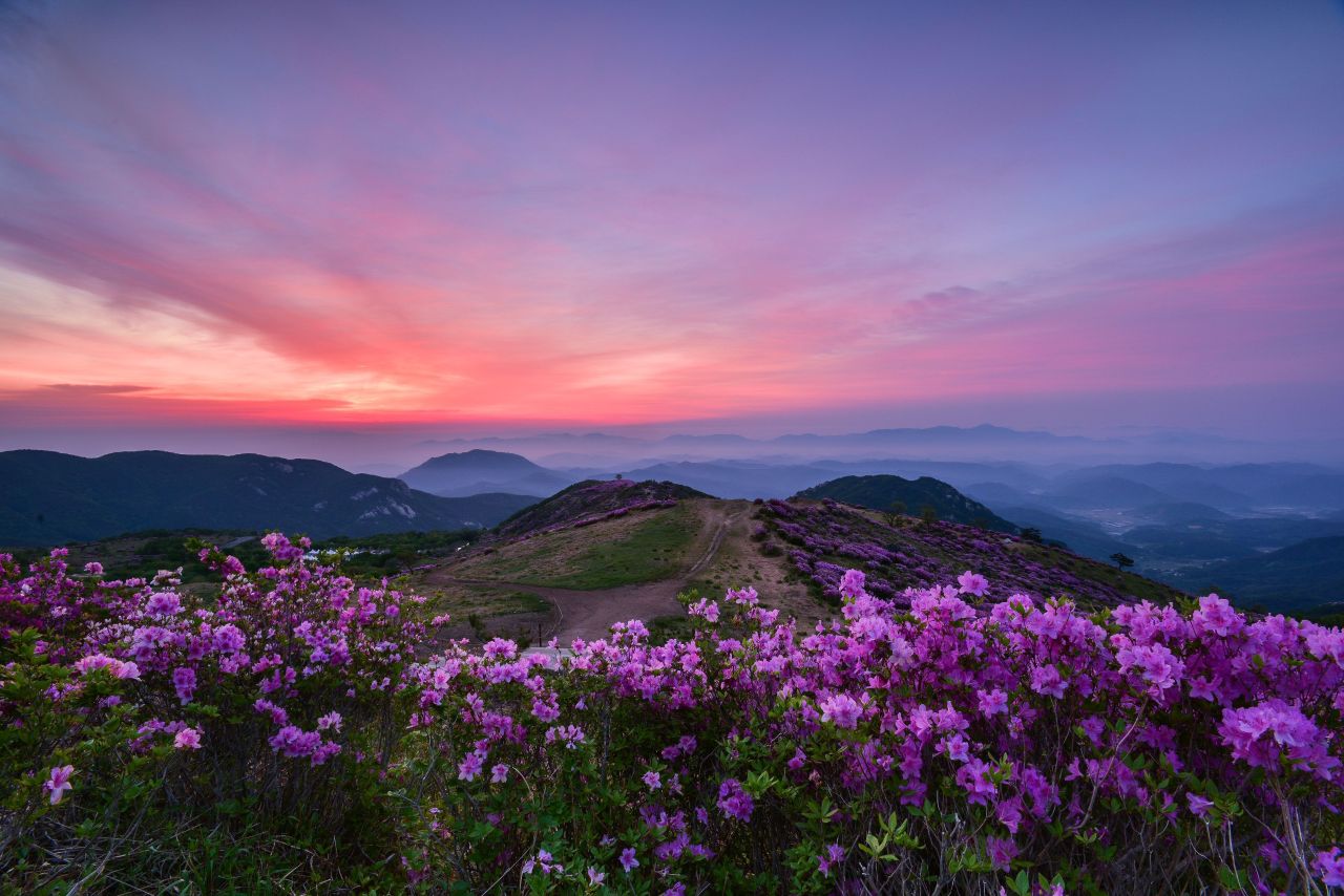 천상의 화원