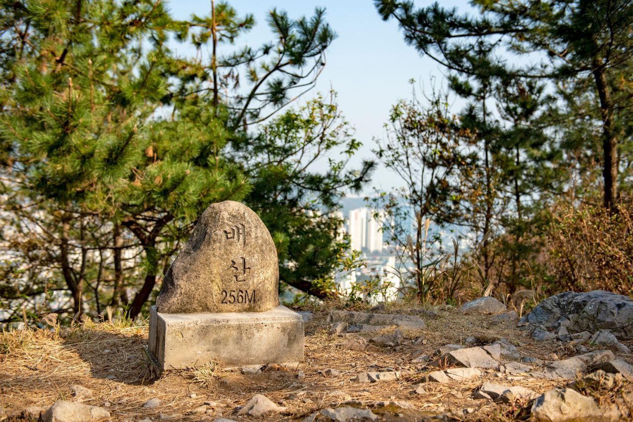 배산숲길