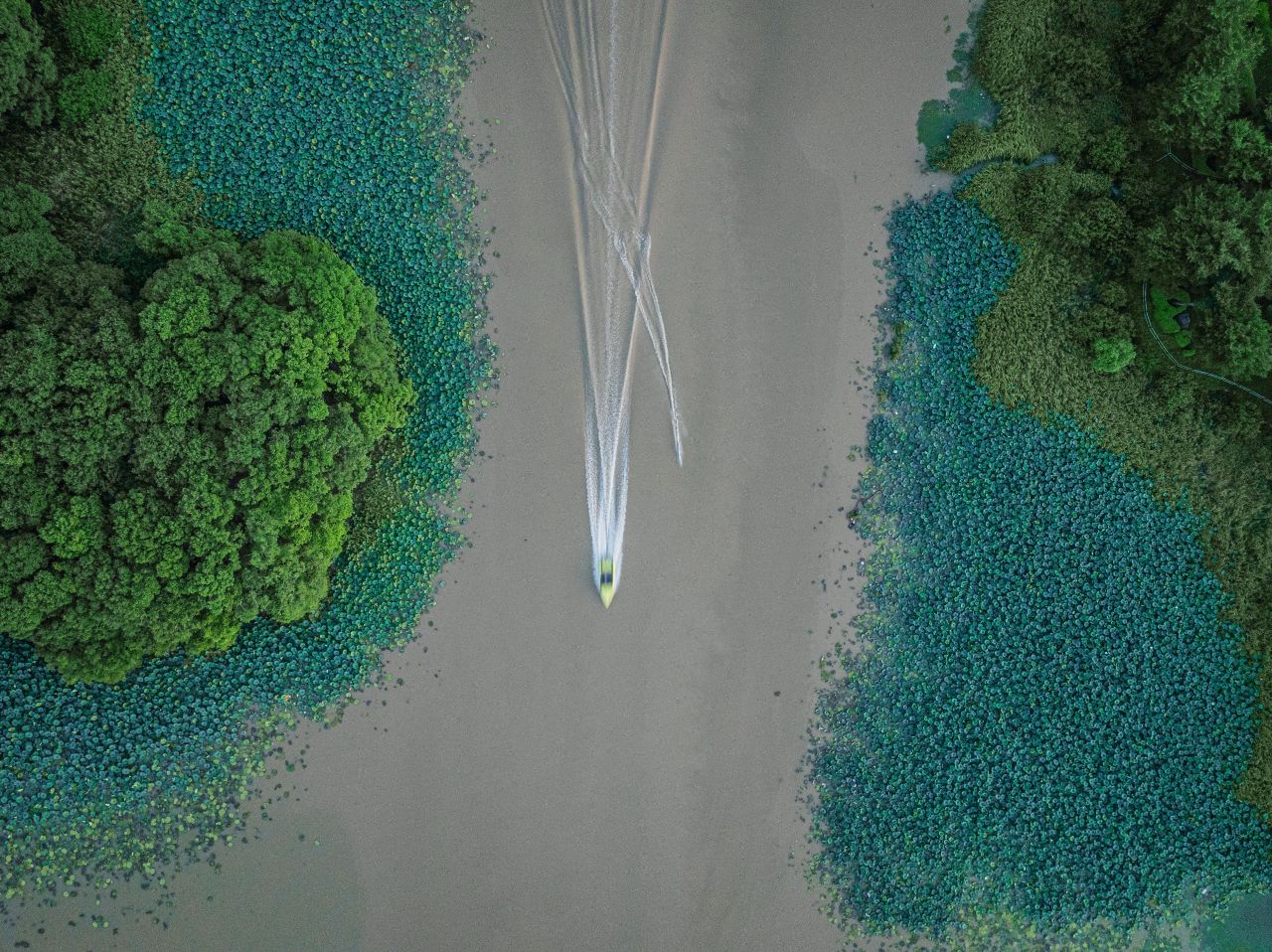 신정호수공원