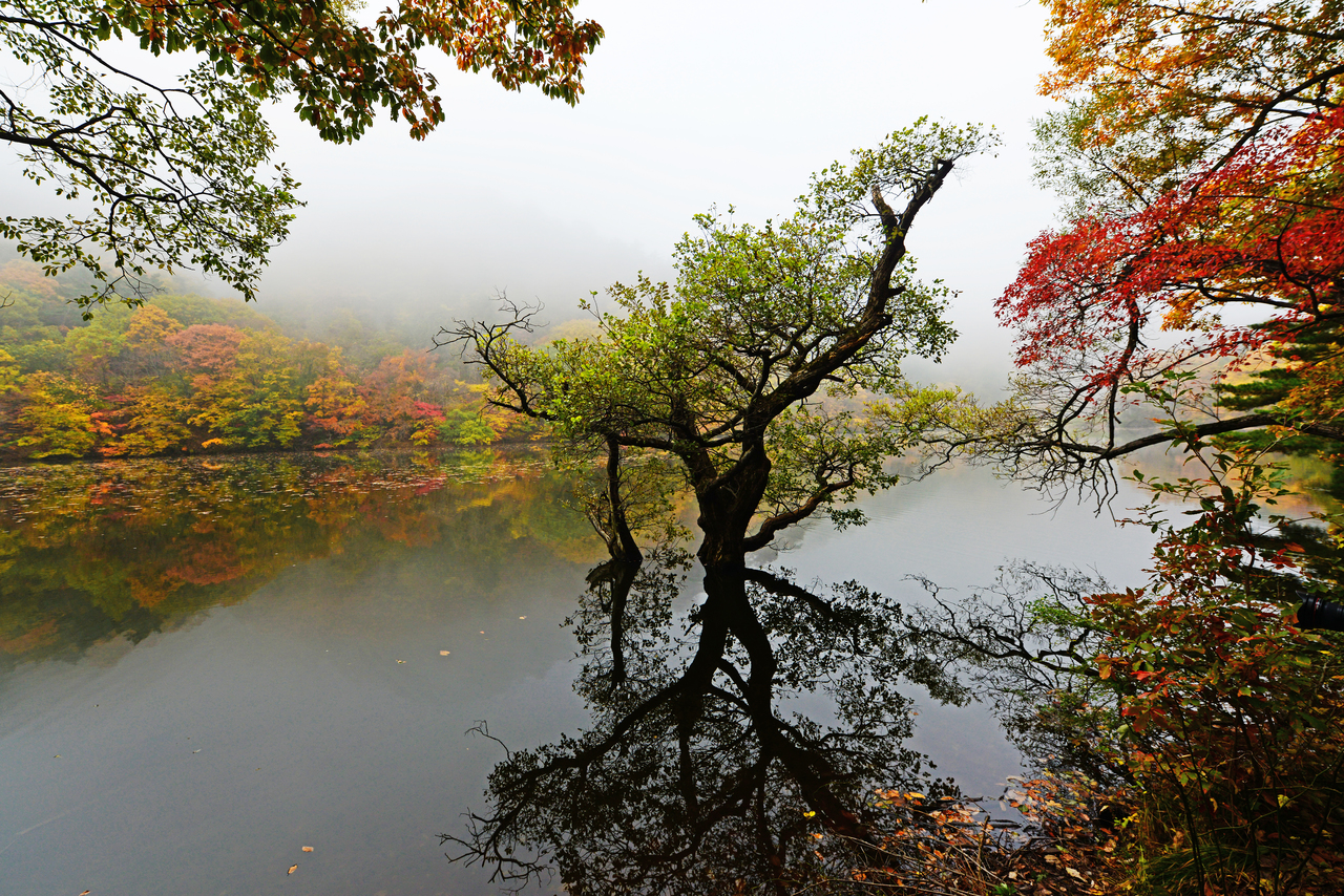 주산지