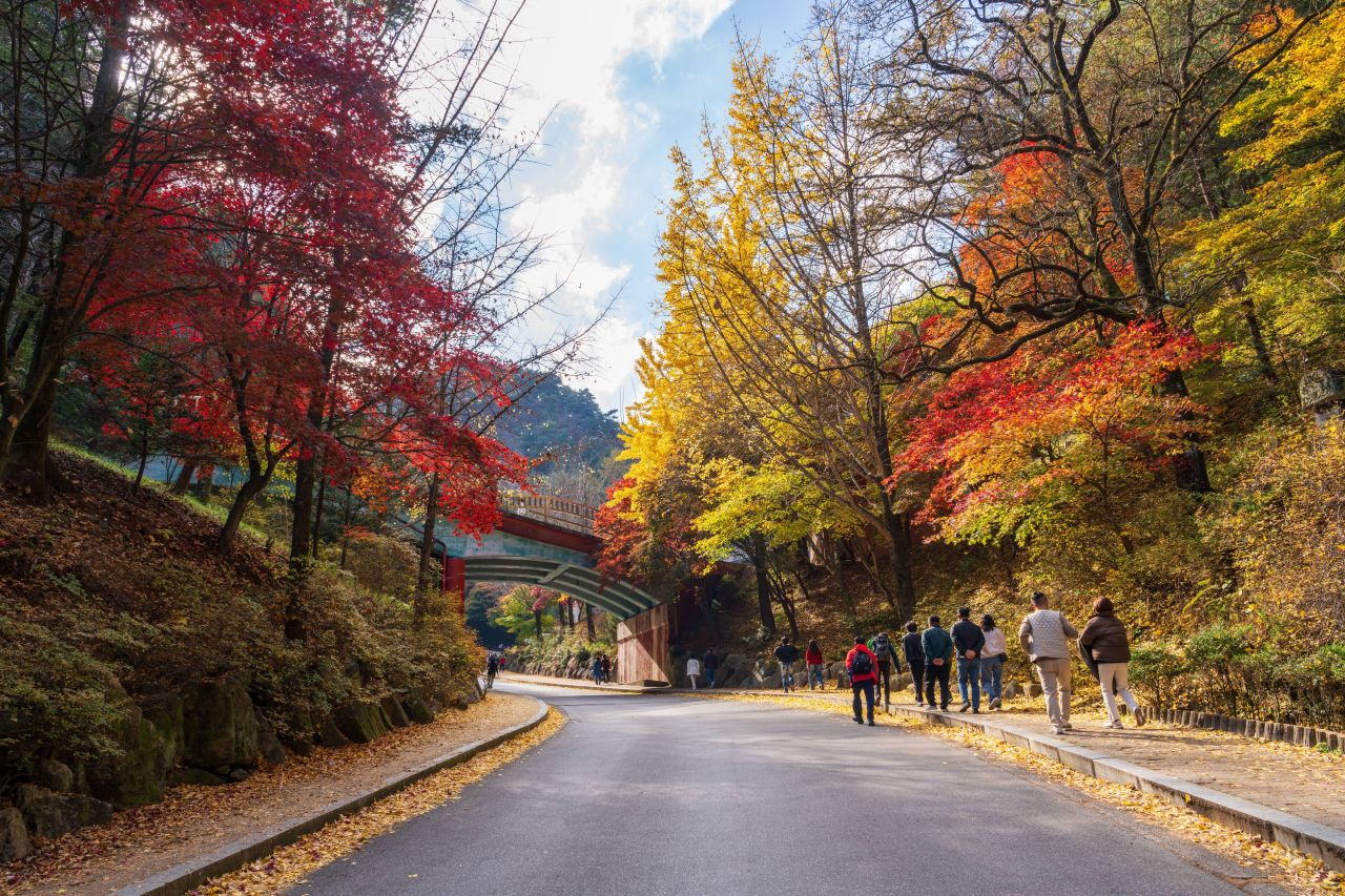 단양 구인사