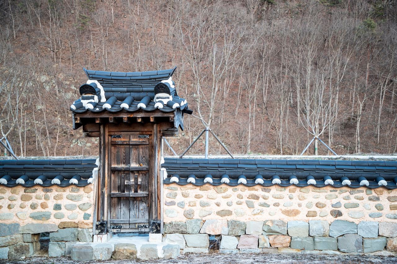 뇌룡정