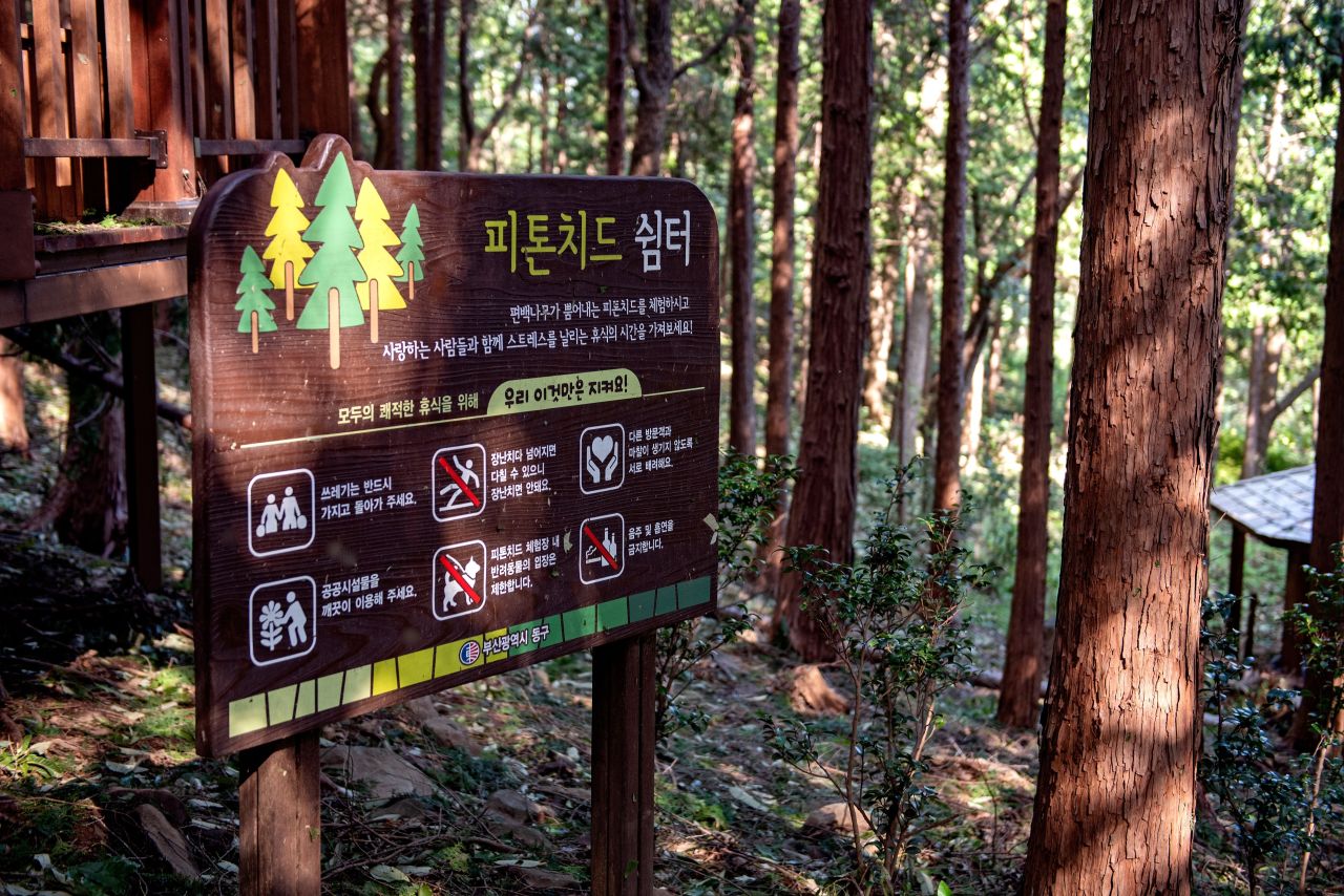 구봉산 치유숲길