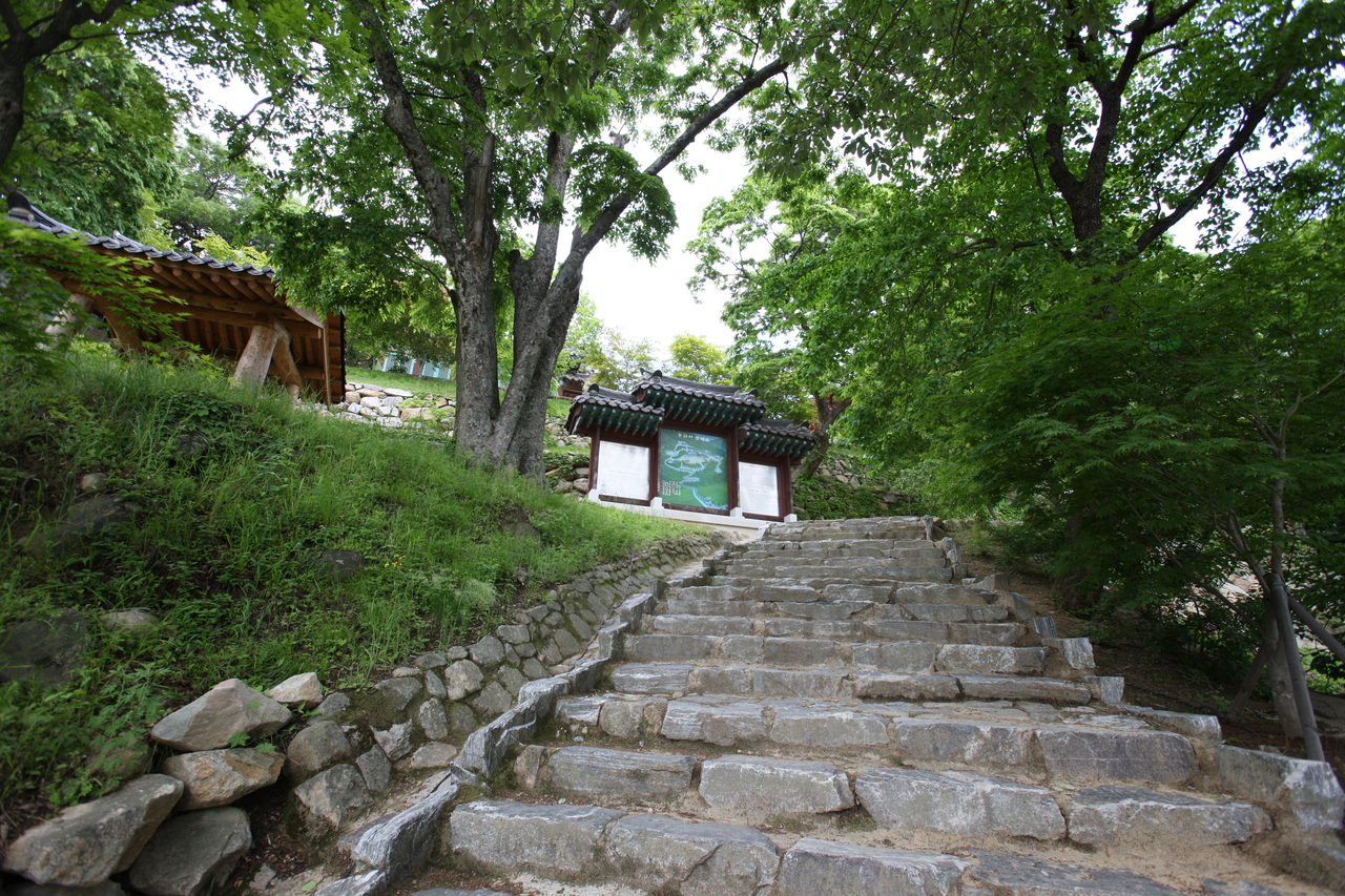 도리사