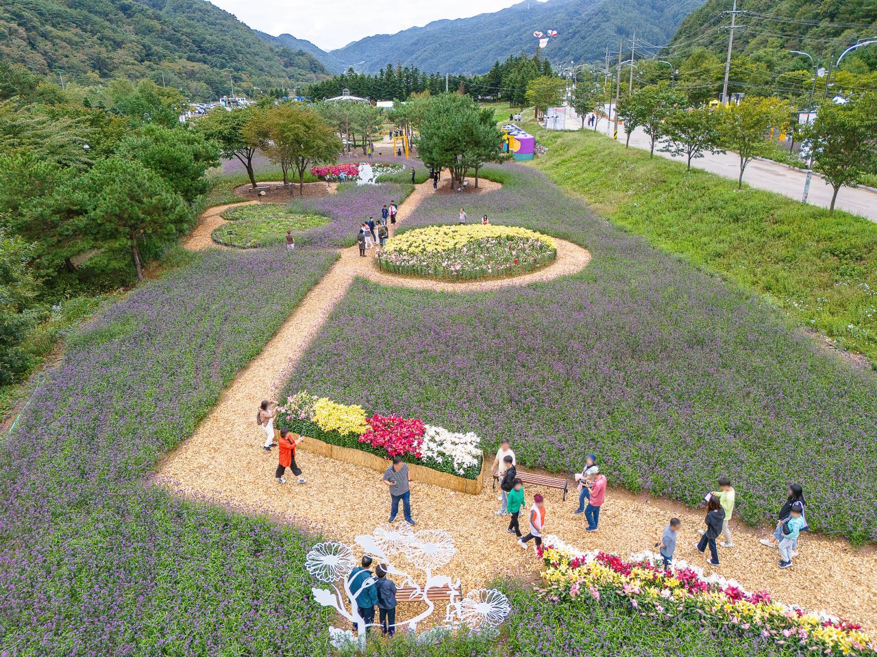 인제가을꽃축제
