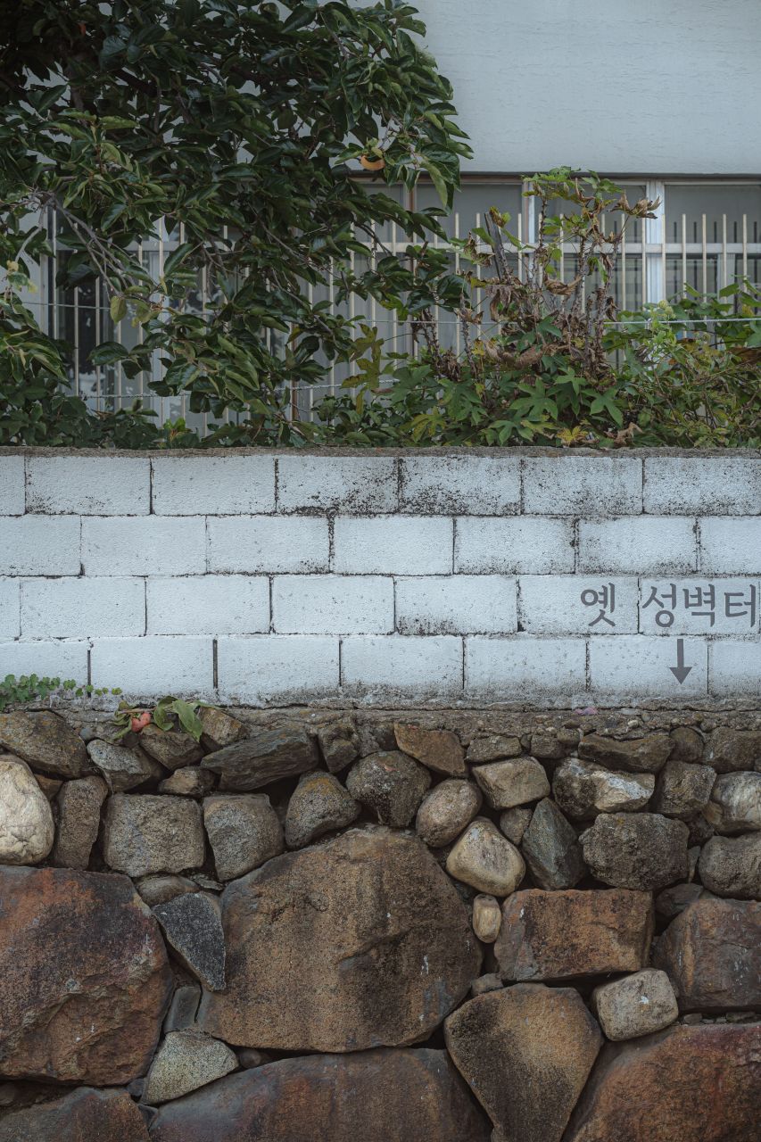 강릉 명주동 거리
