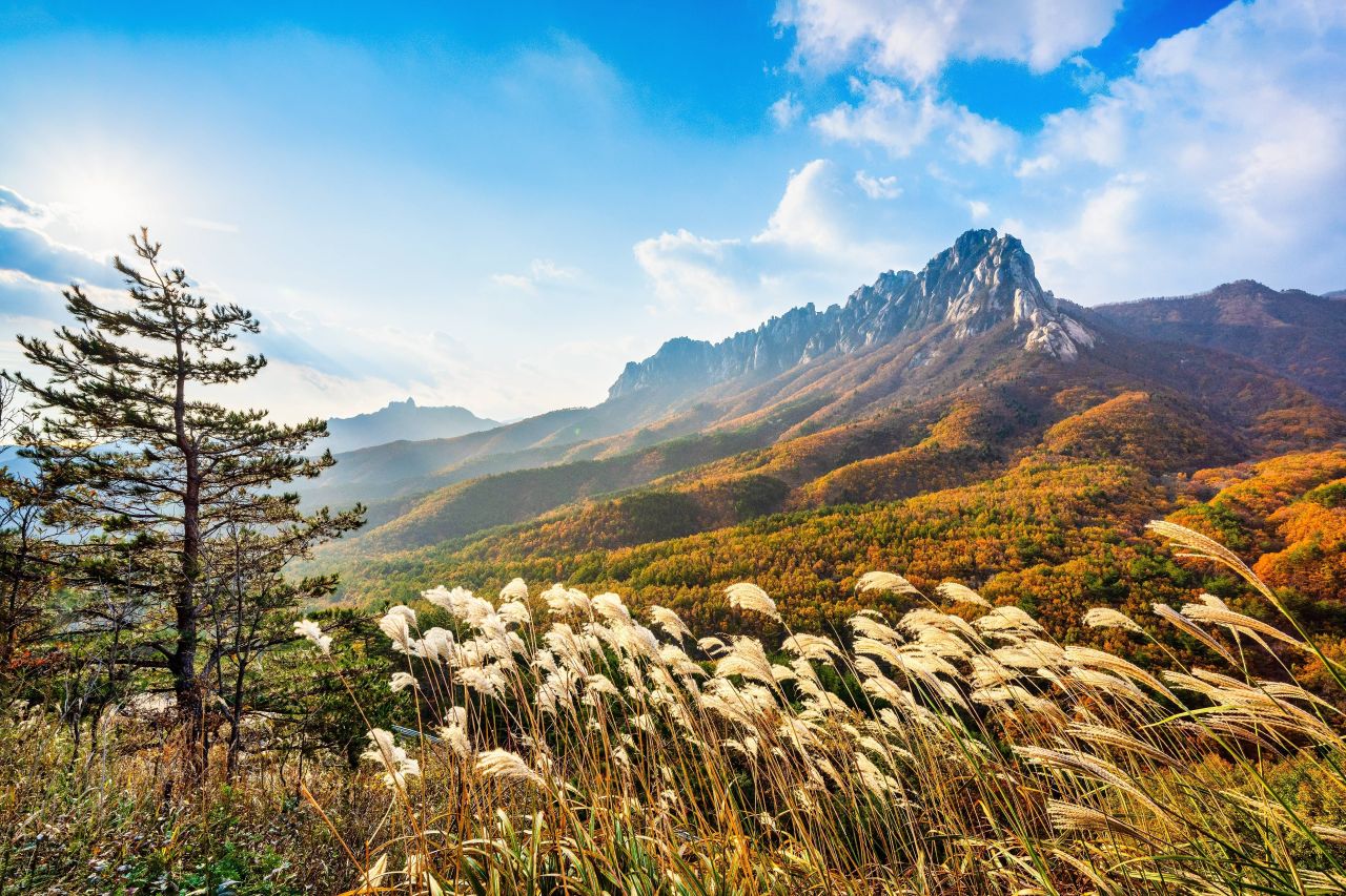 울산바위 추경