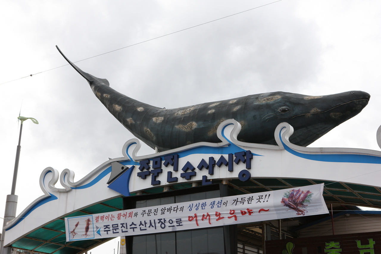 주문진수산시장