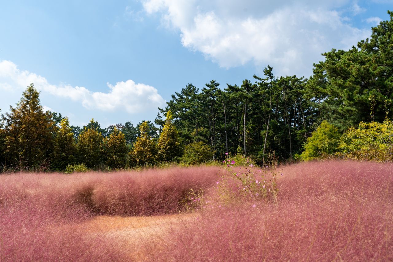청산수목원