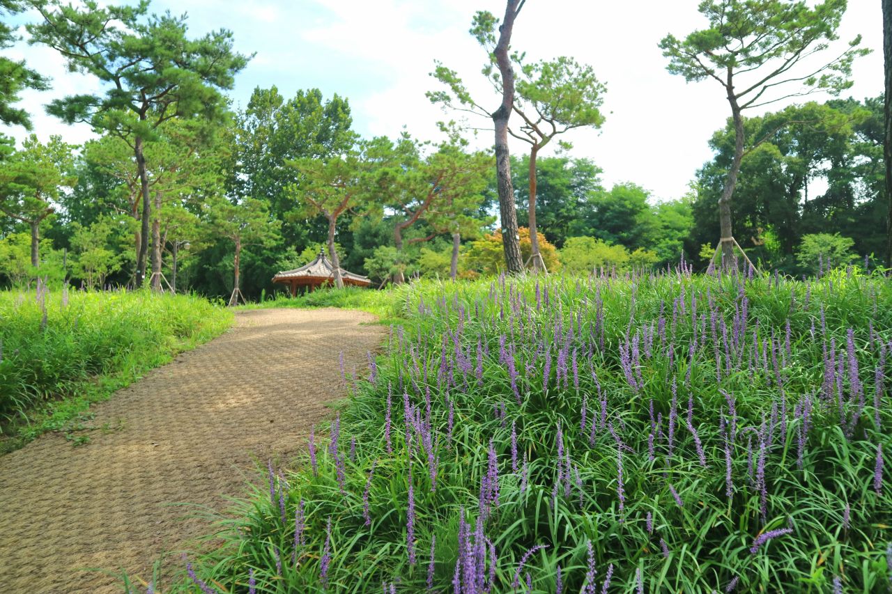 수원 노송공원