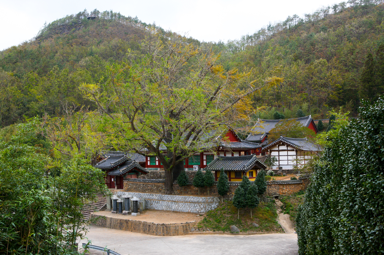 장흥향교