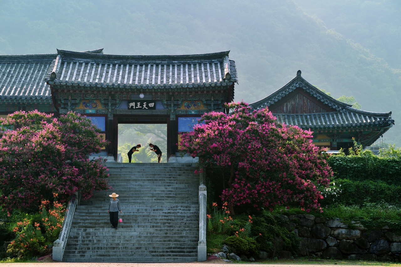 표충사의 만남