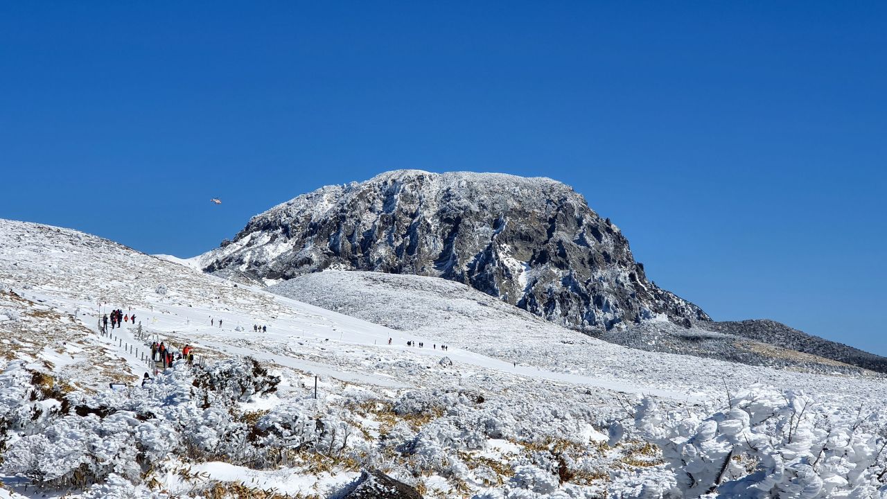 White 한라산