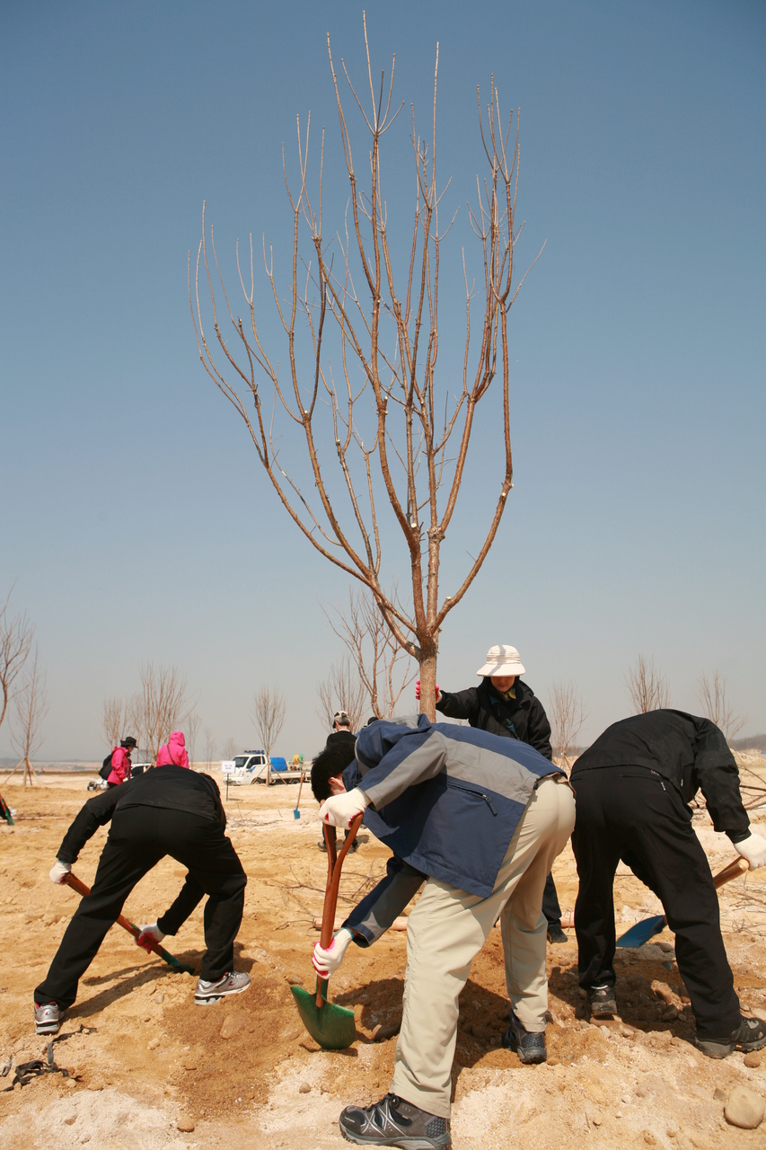 식목일 행사
