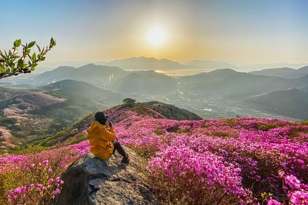 영취산의 봄