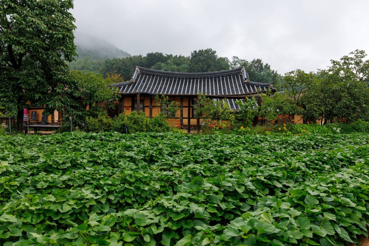 고성 왕곡마을