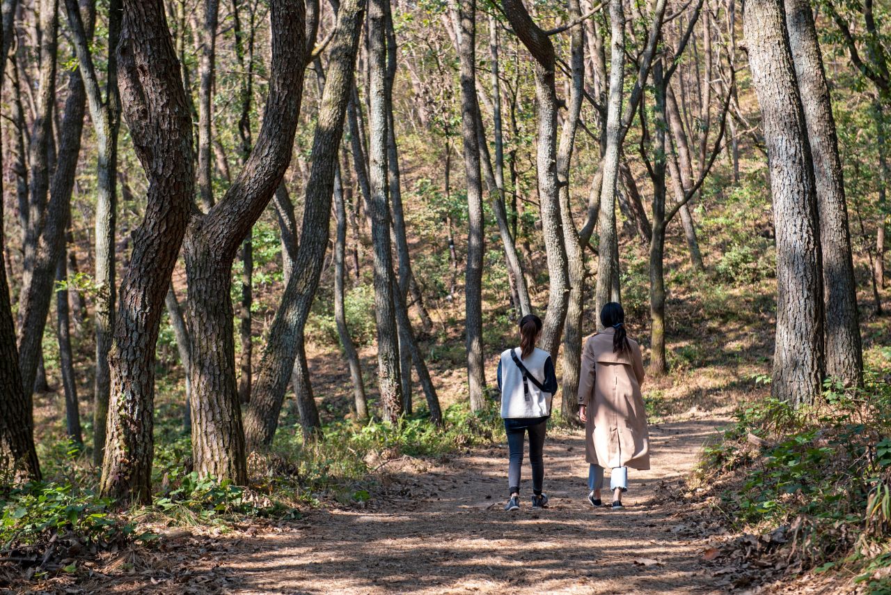 금정산 (2020)