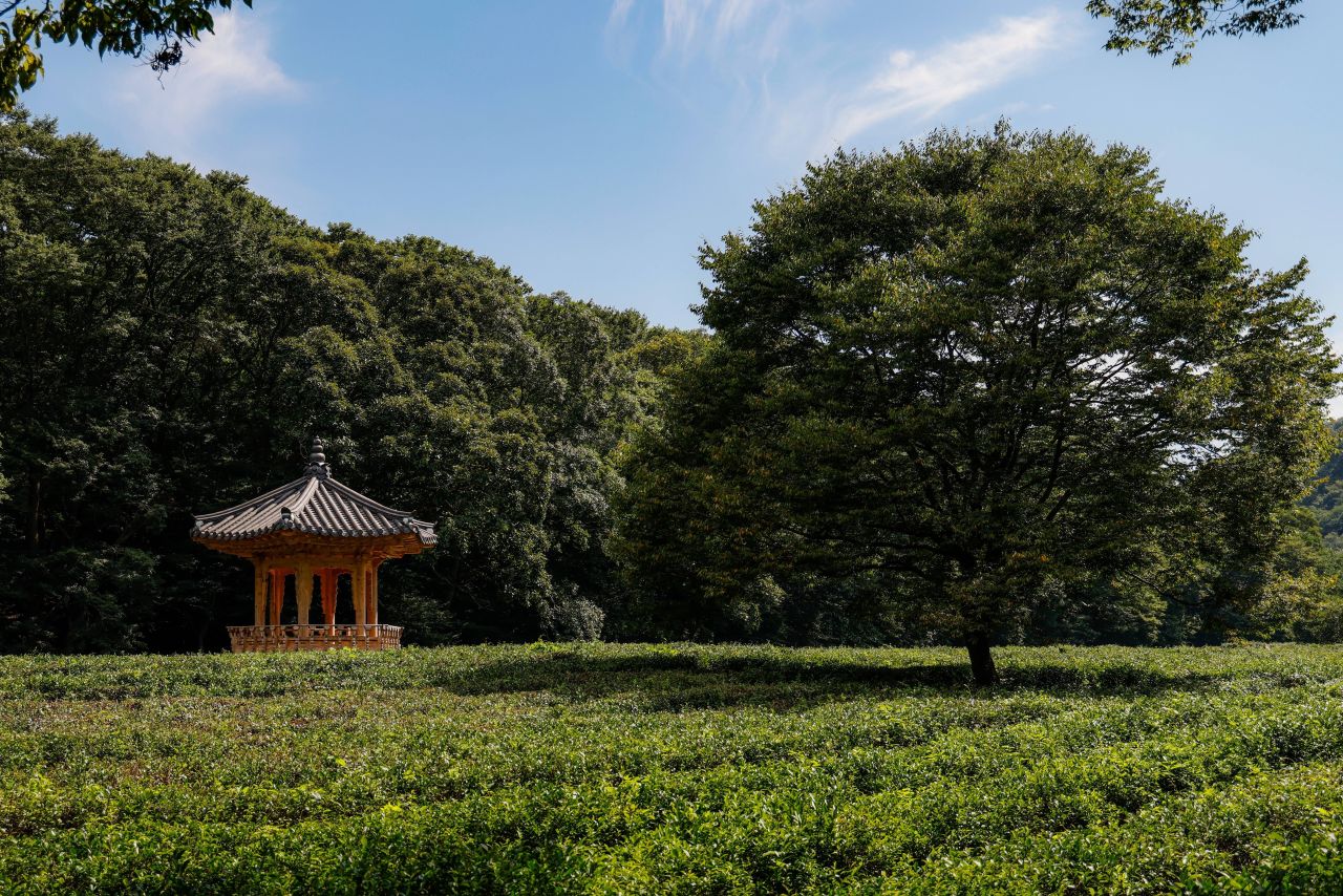 고창 선운사