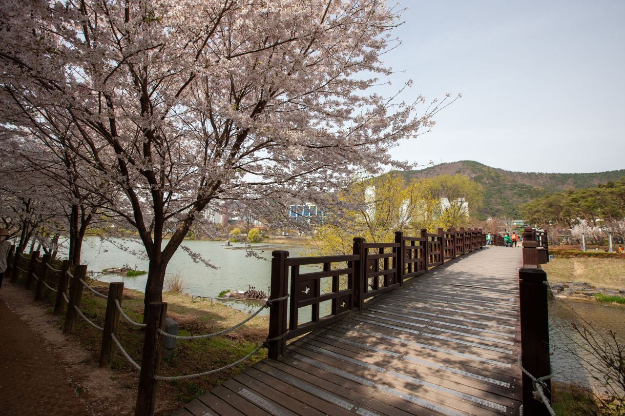 순천 조례호수공원