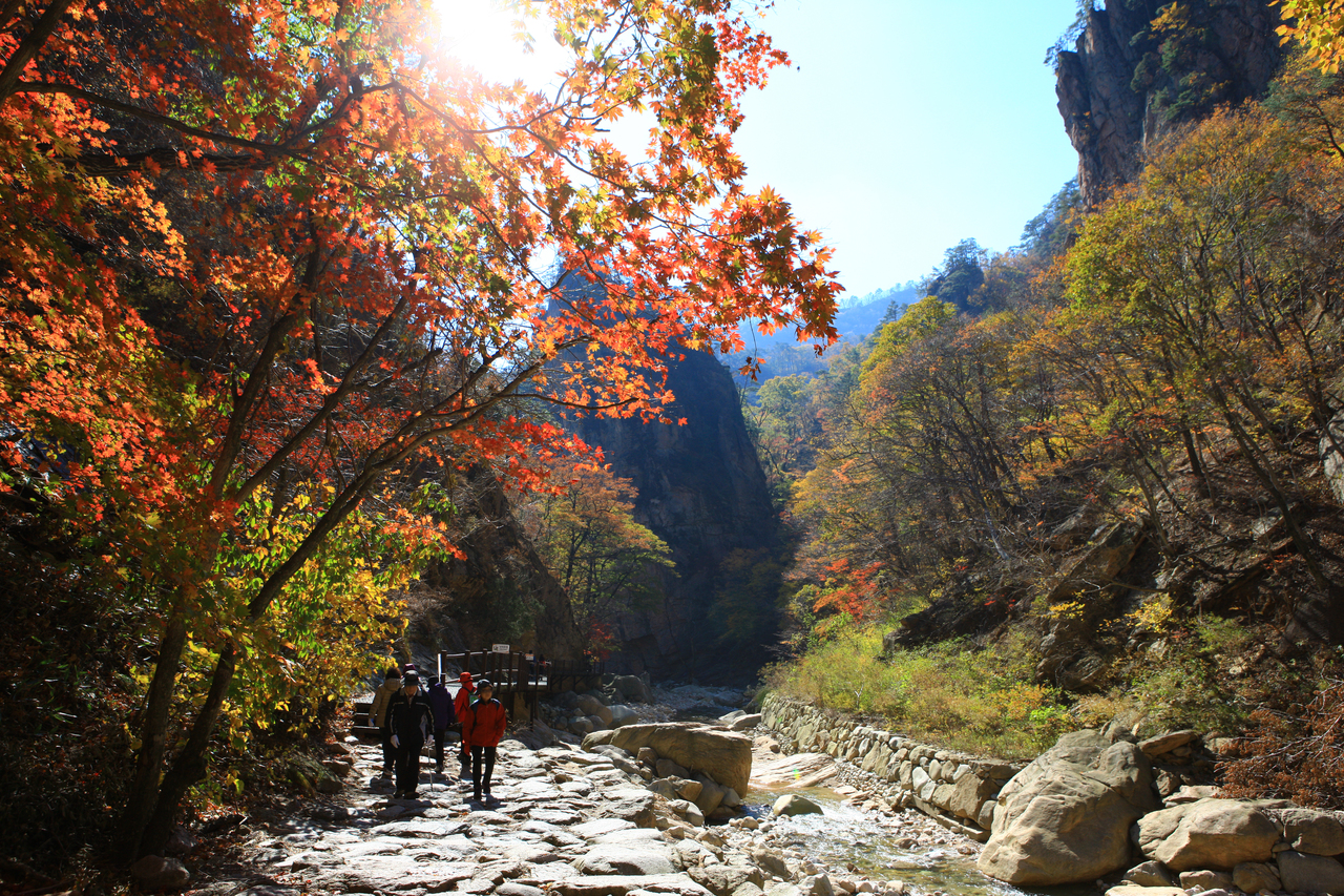 설악산 가을