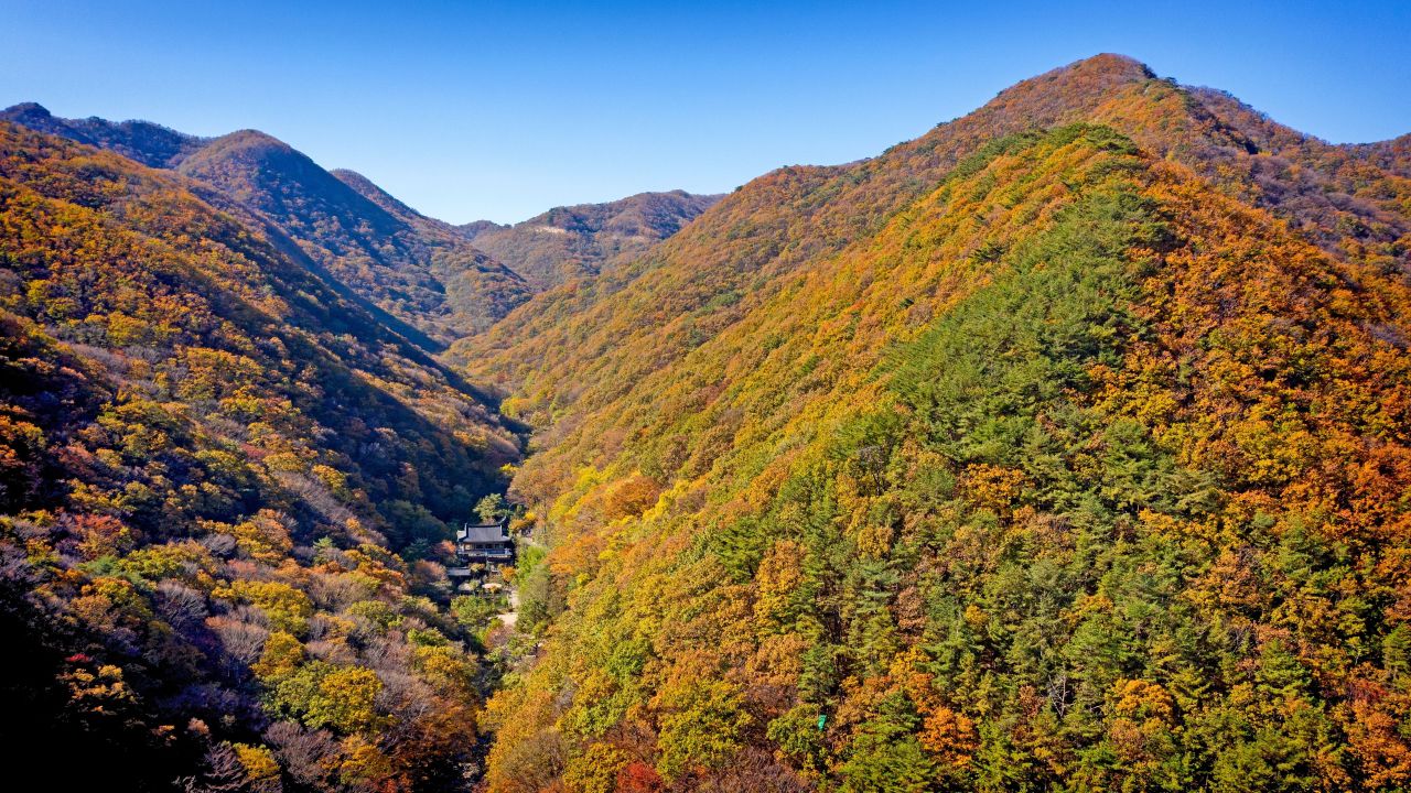 기장불광산숲길