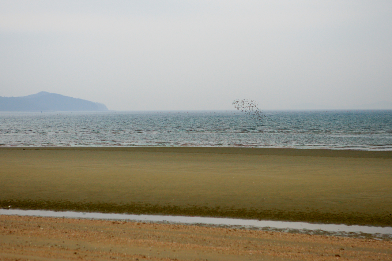 바람아래해수욕장