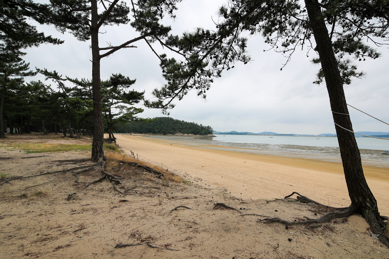 홀통해변