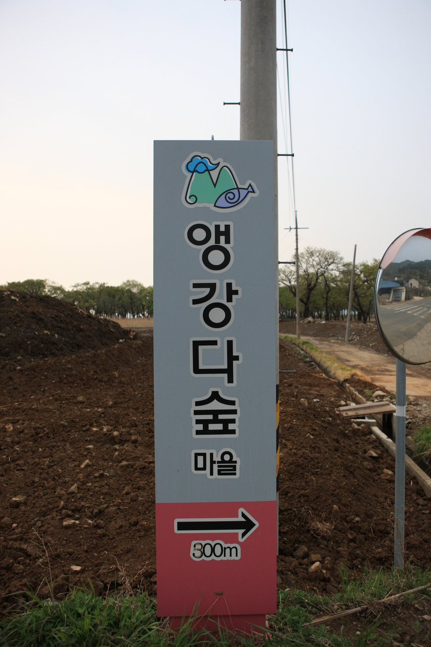 앵강다숲