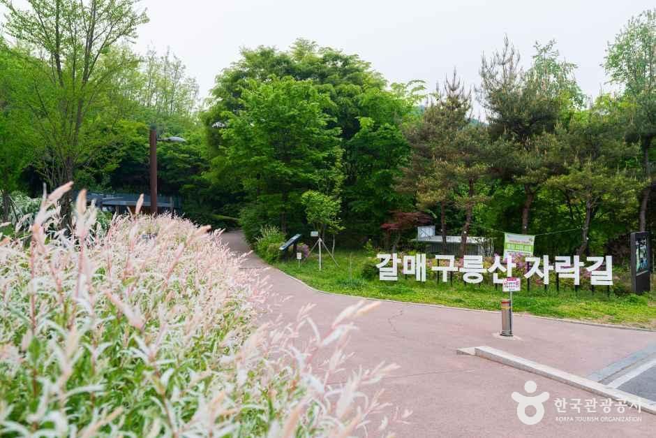 갈매구릉산자락길
