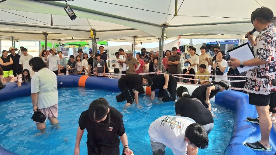 Samcheonpo Port Wild Gizzard Shad Festival