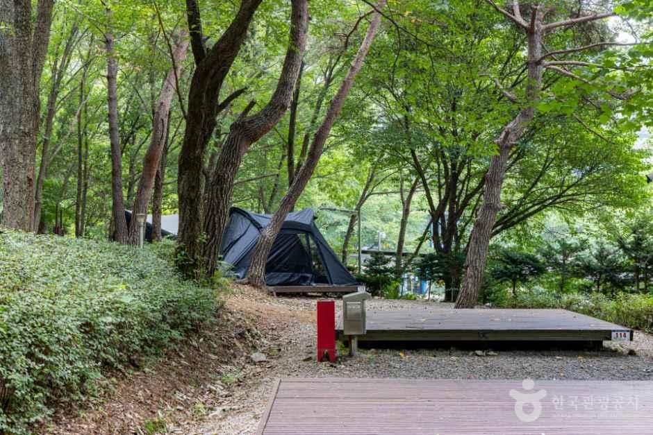 용현자연휴양림 야영장