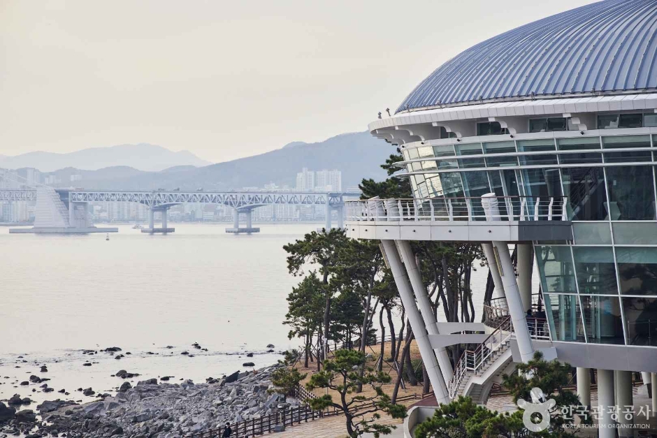 Haeundae Dongbaekseom Island (해운대 동백섬)