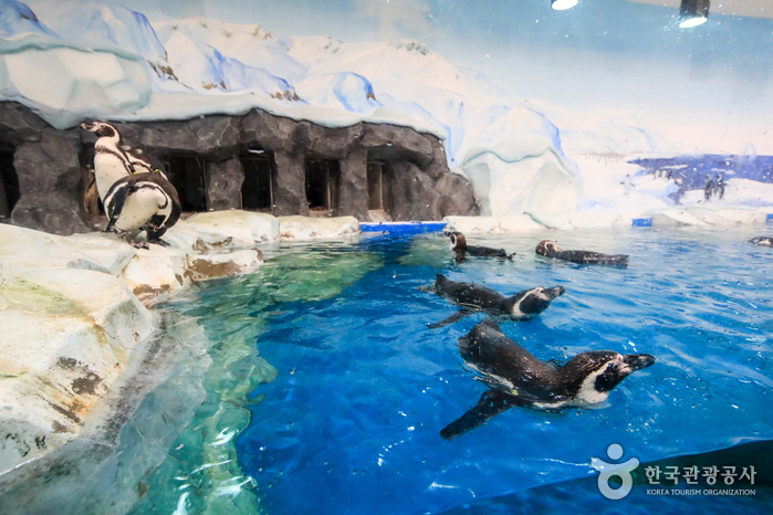 Aquarium