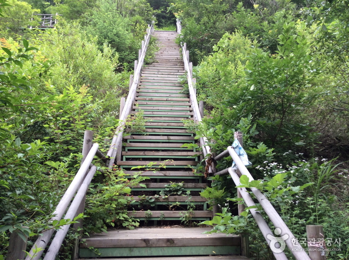 소구니산