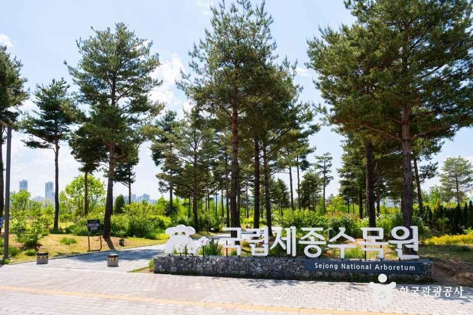 Sejong National Arboretum