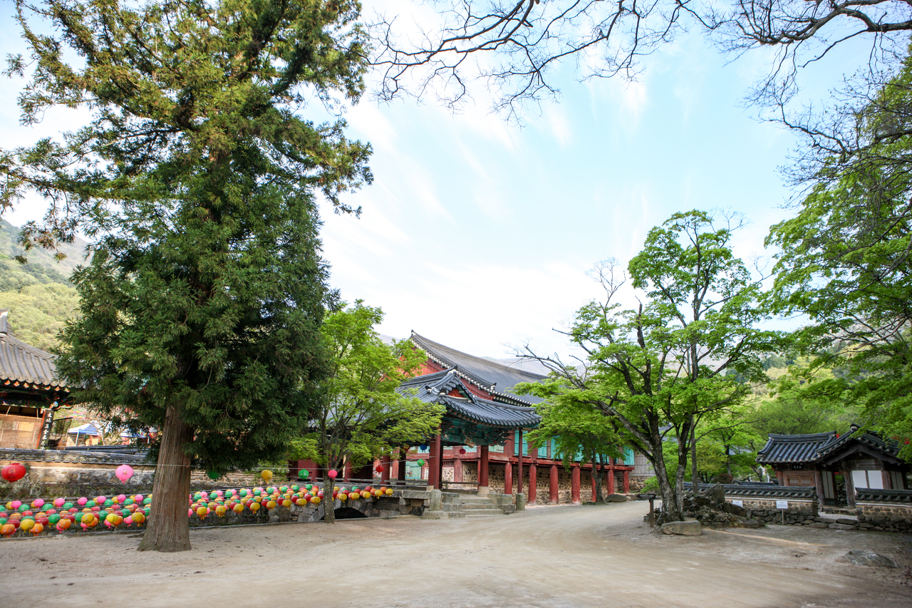 순천 송광사