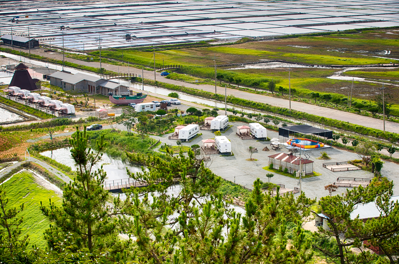 증도 천일염 힐링캠핑장