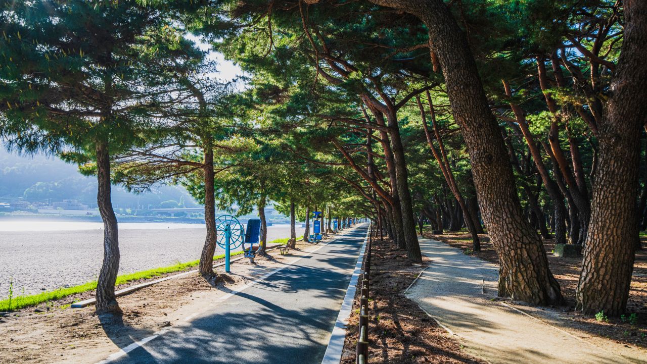 하동송림공원