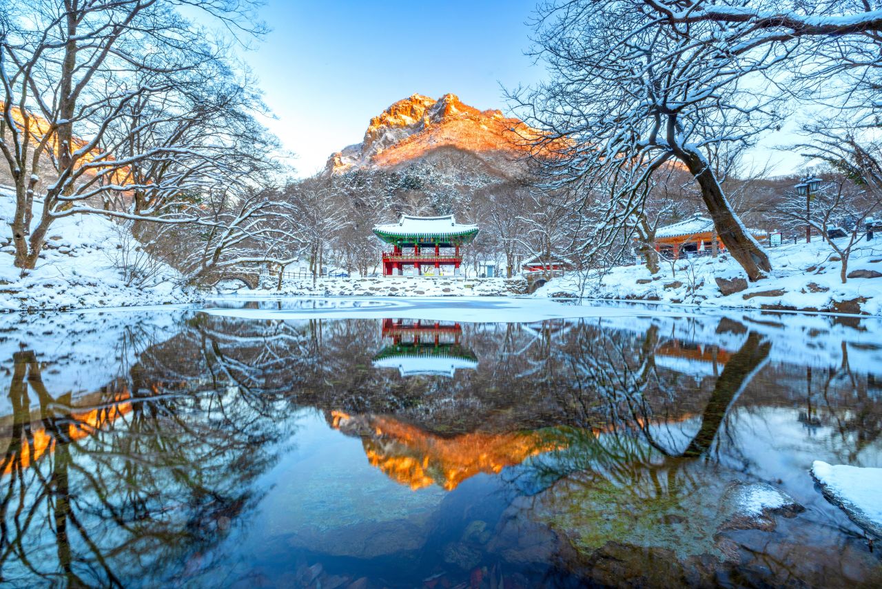 반영
