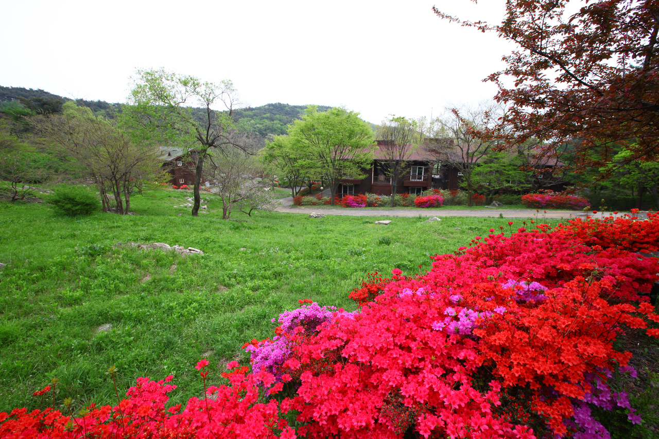 오서산자연휴양림