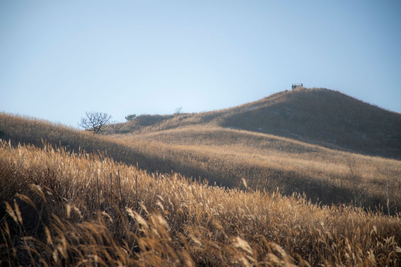 황매산