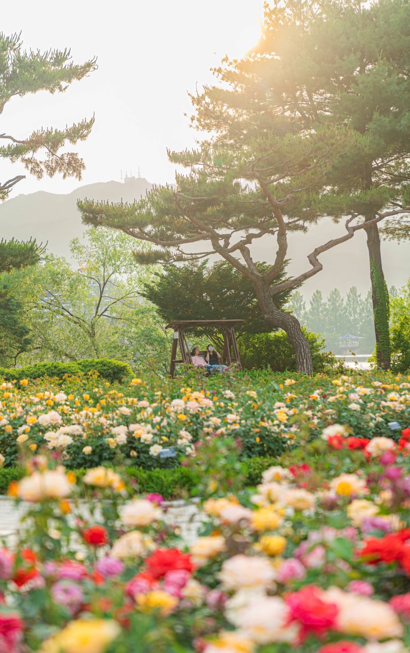 서울대공원