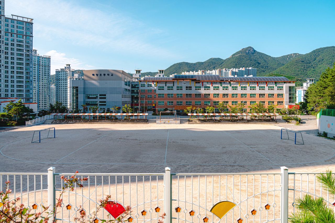 백양초등학교