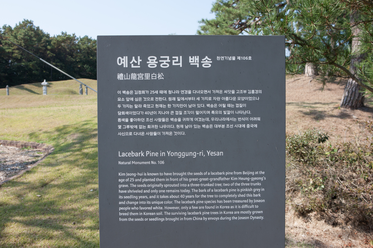 추사김정희선생고택