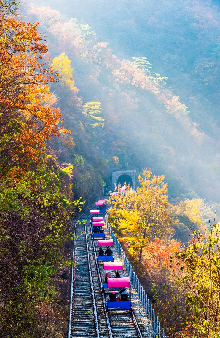 강촌레일바이크
